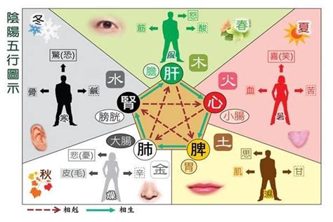 水屬性職業|五行屬水的行業別或職業